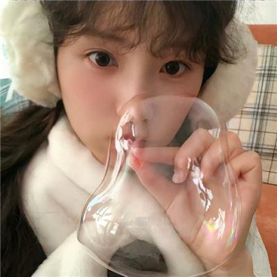 鸽之翼 封面