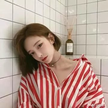 噬人鲨 封面