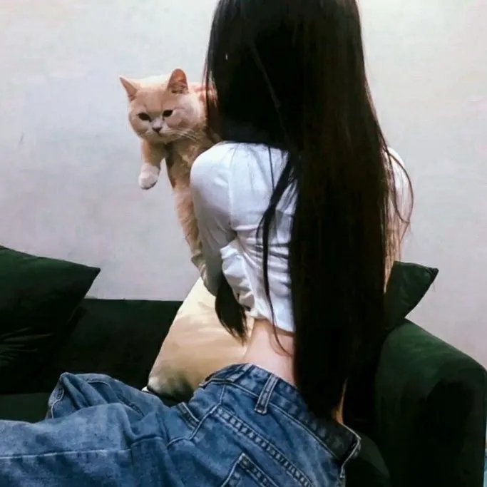 到来的主日 封面